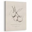 Minimalist Botanical Art: "Homegrown Fruit" Apple Branch Sketch in Neutral Tones