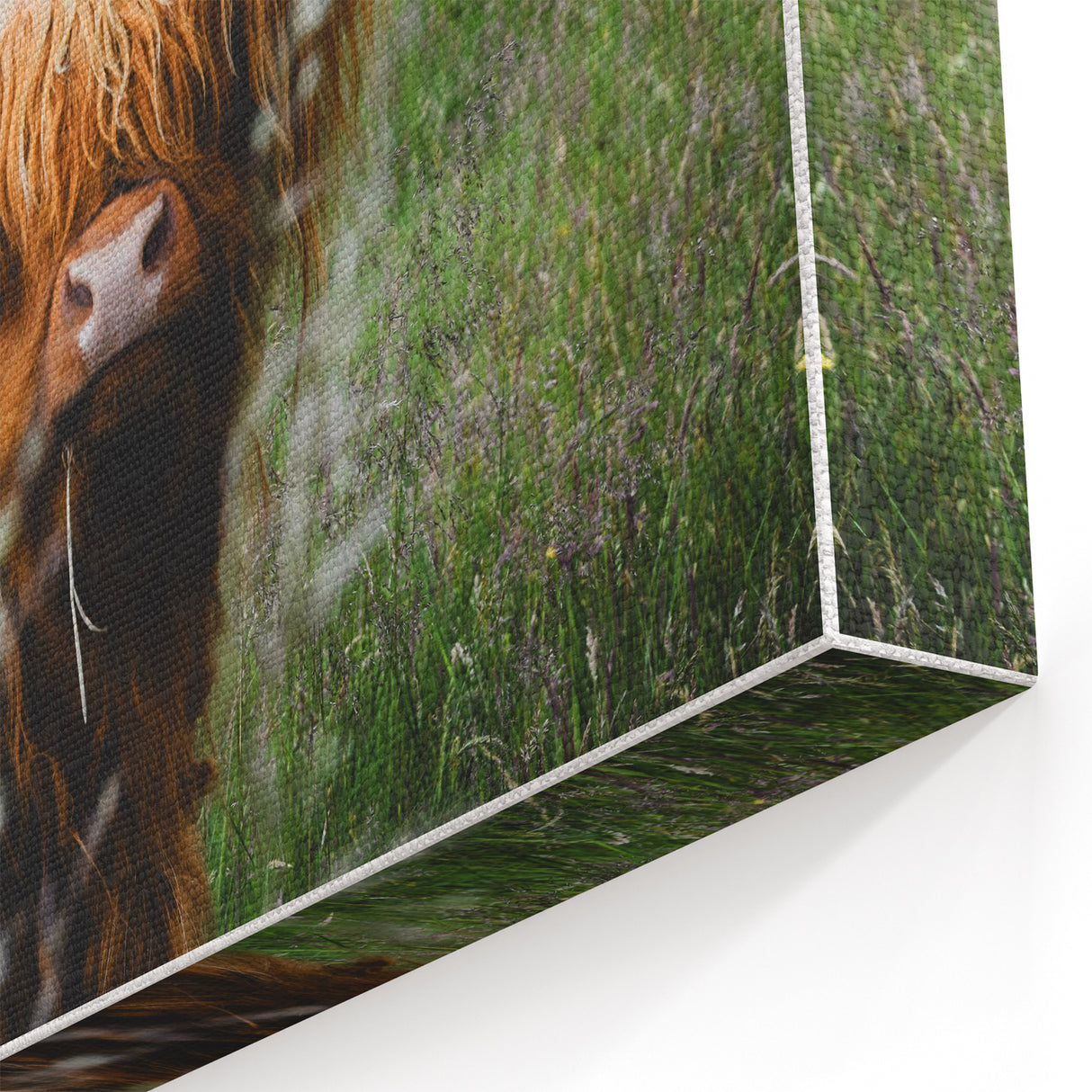 Highland Cow Rustic Wall Art - Cozy Farmhouse Nature Decor for Homes