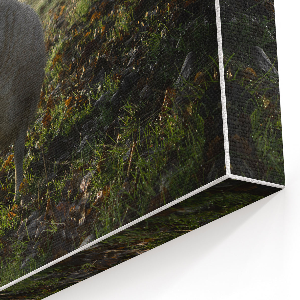 Misty Morning Sheep Rustic Wall Art - Farmhouse Country Decor