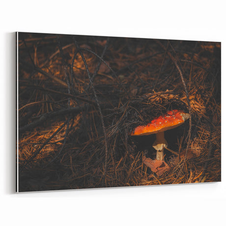 Rustic Forest Mushroom Wall Art - Farmhouse Decor - Vintage Nature Print