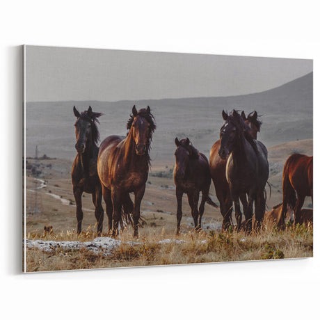 Wild Horses in Rustic Landscape - Vintage Wall Art - Farmhouse Decor