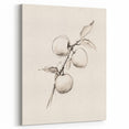 Minimalist Wall Art – Simple Botanical Line Art Prints for Modern Decor