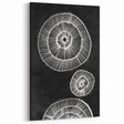Mid Century Modern Art | Bold Geometric Wall Decor | Retro Black & White
