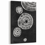 Mid Century Modern Art | Retro Geometric Wall Decor | Black & White Print