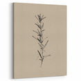 Minimalist Botanical Line Art – Elegant Plant Study for Modern Wall Decor