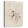Minimalist Leaf Sketch – Modern Line Art for Clean and Simple Decor
