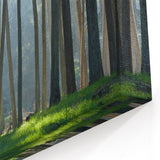 California Cityscape Art – Forest Landscape Wall Art San Francisco Scene
