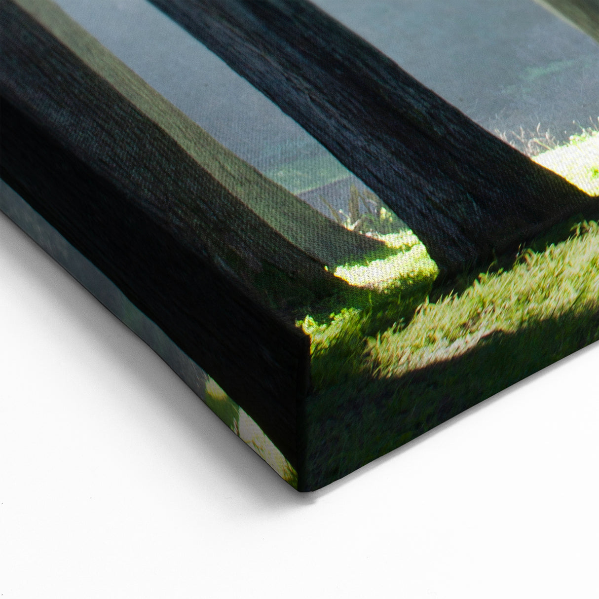 California Cityscape Art – Forest Landscape Wall Art San Francisco Scene