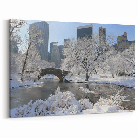 New York City Art Prints - Central Park Winter Photography Canvas Wall Art