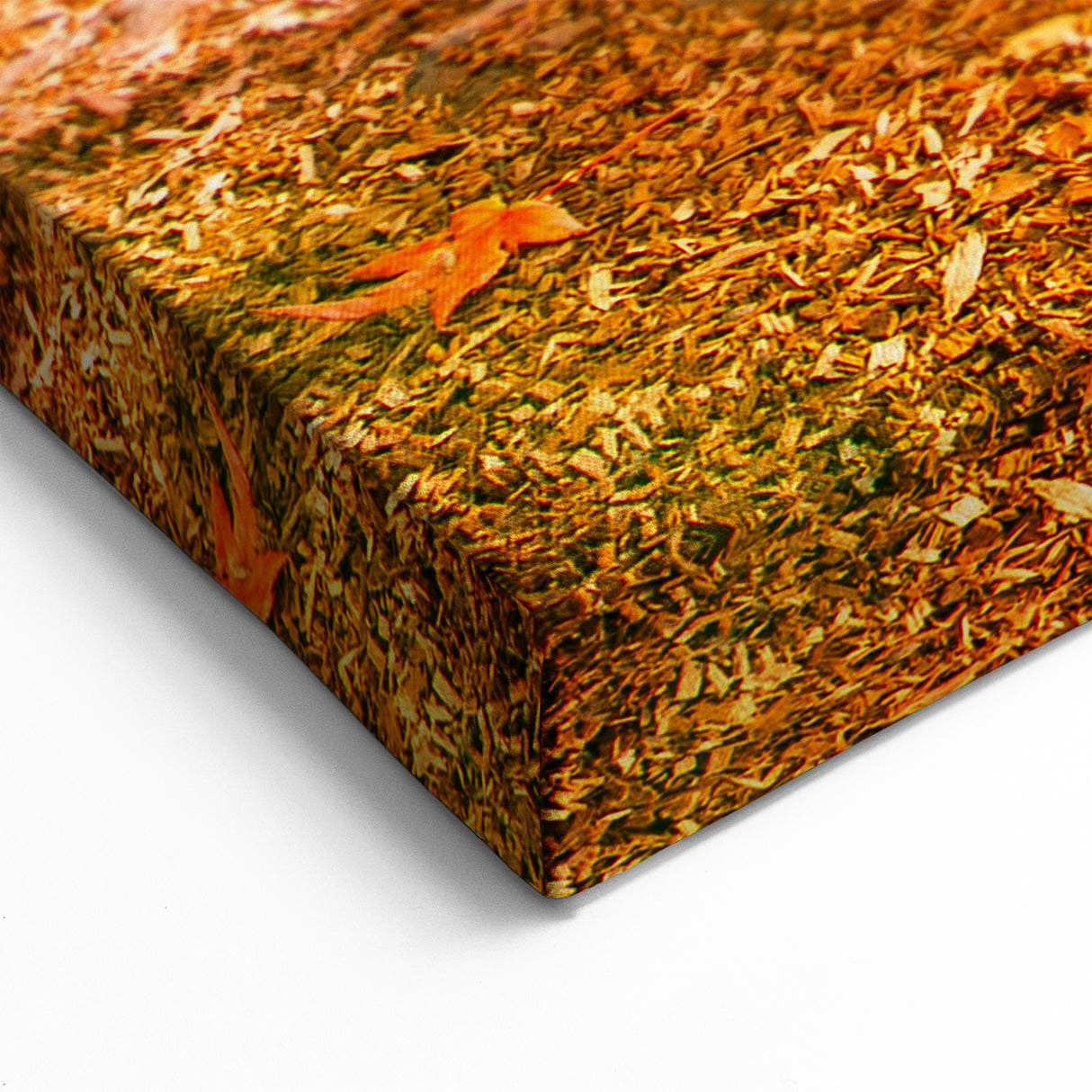 Central Park Wall Art - Autumn Leaves Scenic Photography Canvas Print