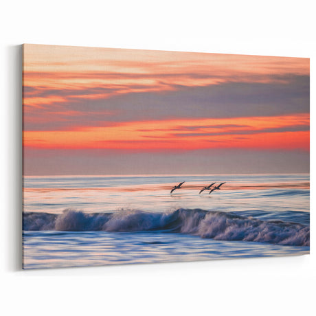 California Sunset Art - Birds Over Santa Barbara Ocean Coastal Scene