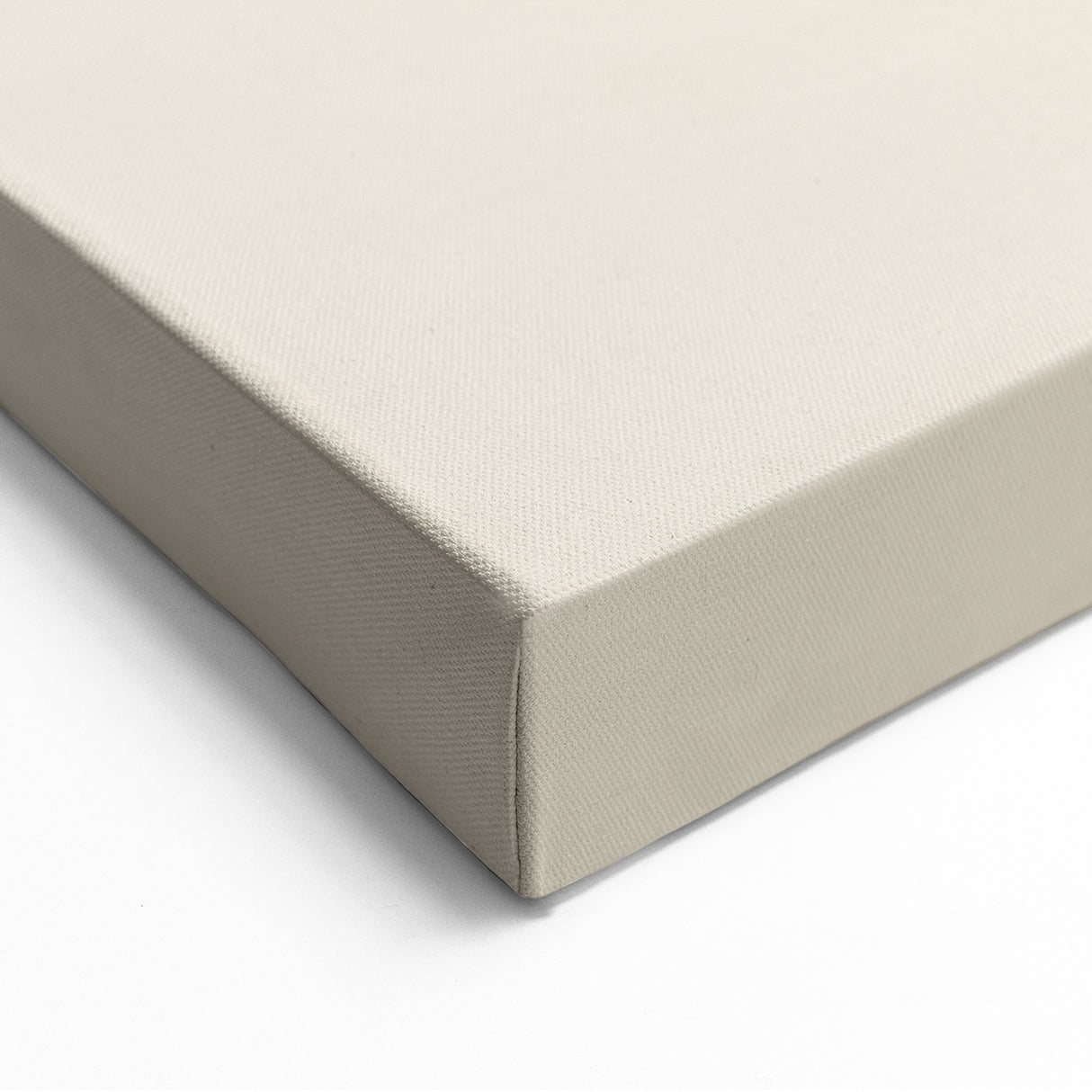Minimalist Wall Art – Black Line Plant Drawing on Beige Canvas