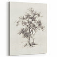 Minimalist Tree Sketch Art – Black and White Nature Drawing