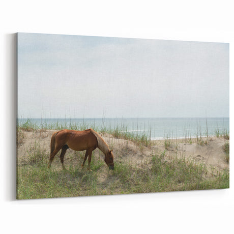 Outer Banks Beach Photography – Wild Horse Coastal Scene Wall Art