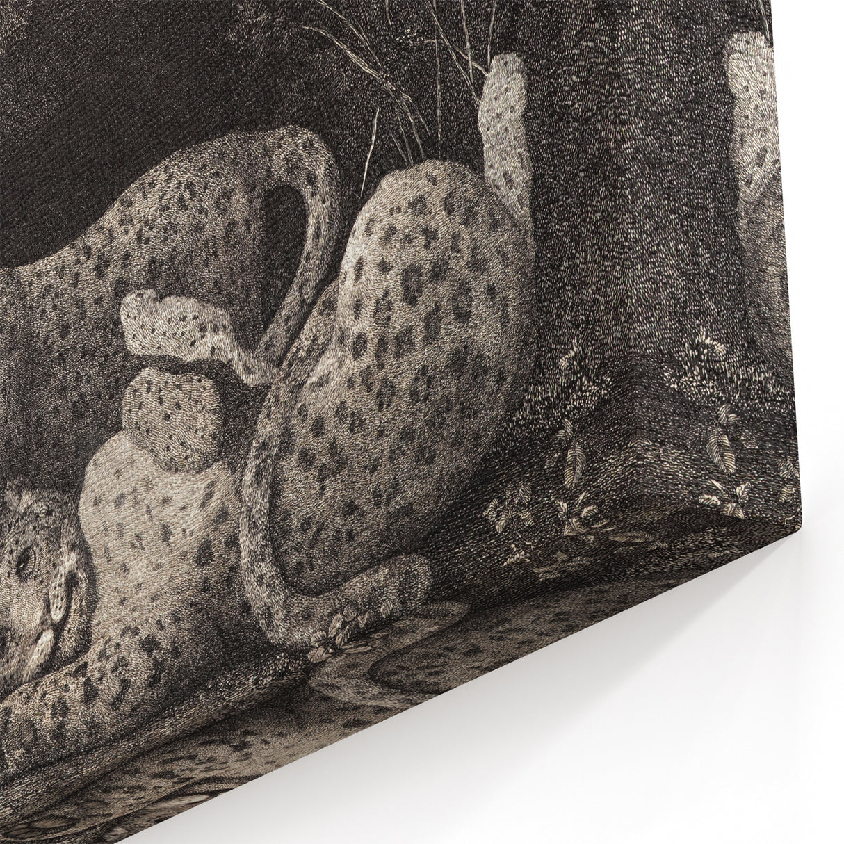 Realism Art Print – Tygers at Play by George Stubbs | Classical Wildlife Art