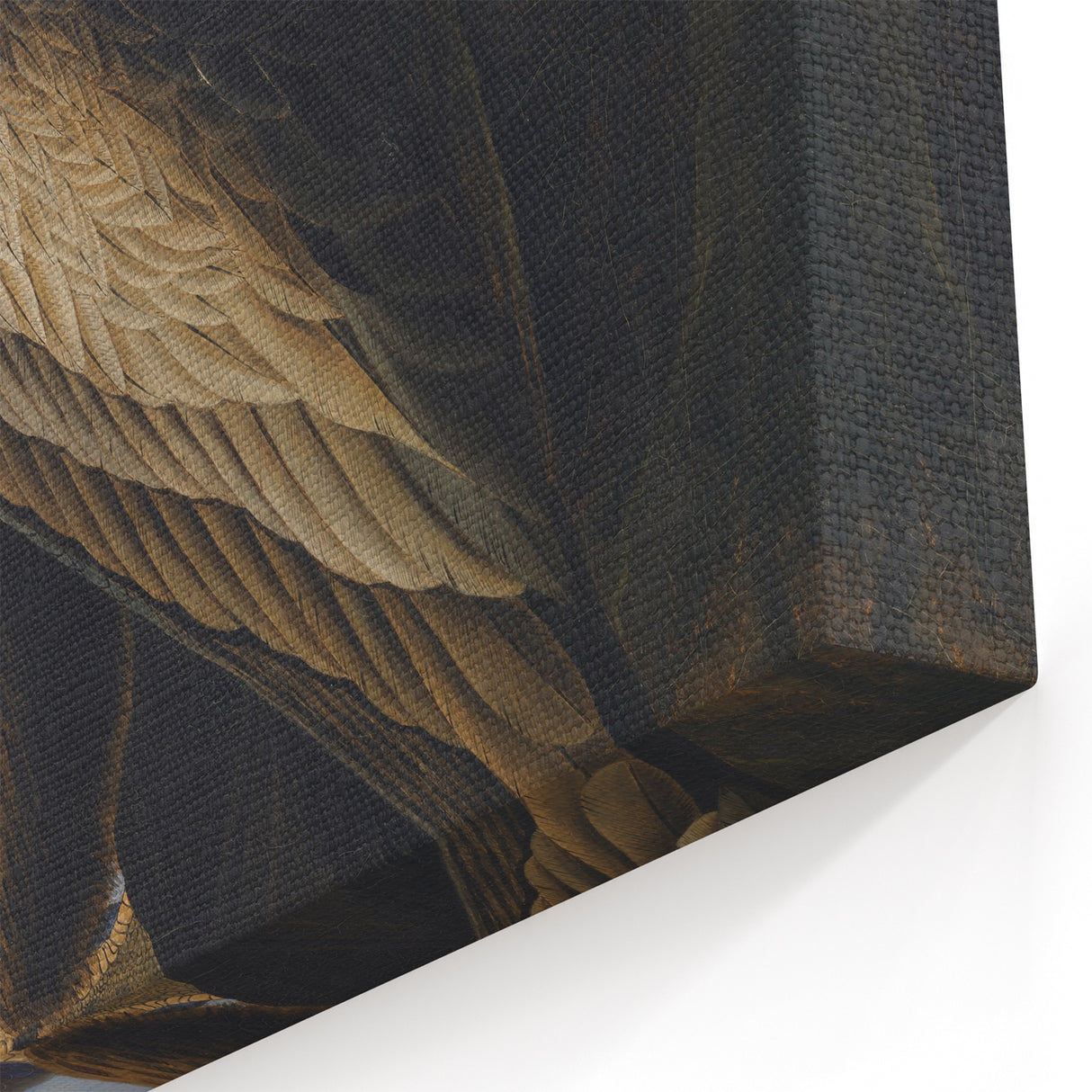 Majestic Realism Art Print – Washington Sea Eagle by Audubon