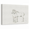 Fine Art Realism Sketch - Two Horses Standing Together Art Print Canvas