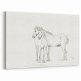 Fine Art Realism Sketch - Two Horses Standing Together Art Print Canvas