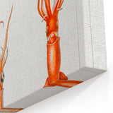 Fine Art Realism Illustration - Whiplash Squid Deep-Sea Print Canvas