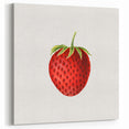 Vintage Botanical Strawberry Print | Realism Strawberry Art Illustration