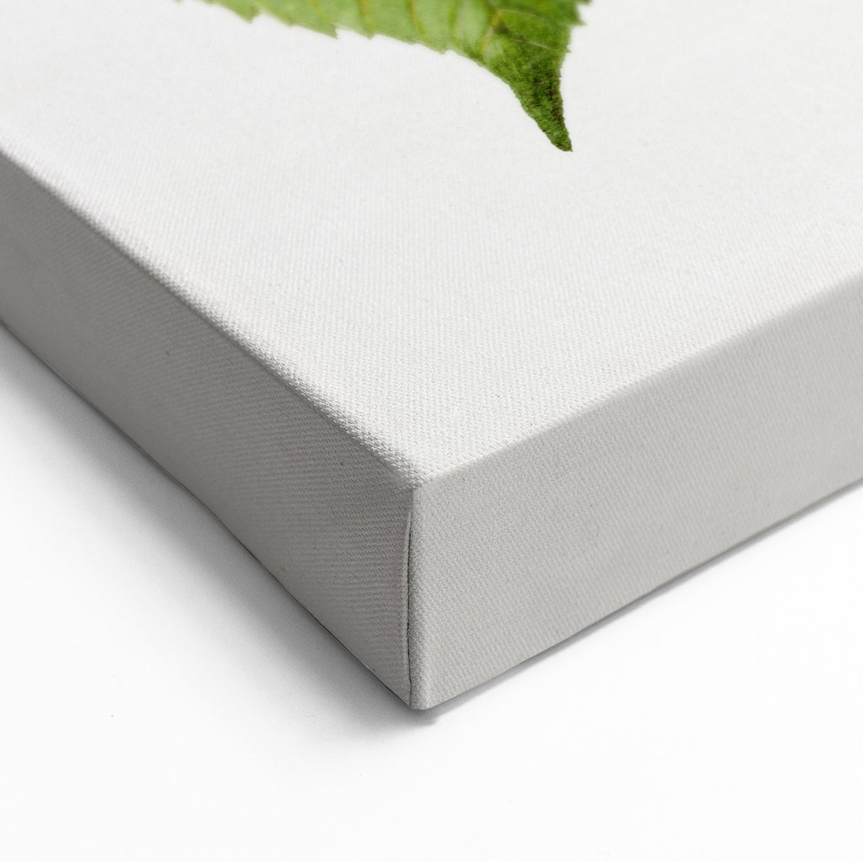 Realistic Cherry Illustration Art Print | Classic Botanical Wall Decor