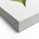 Realistic Cherry Illustration Art Print | Classic Botanical Wall Decor