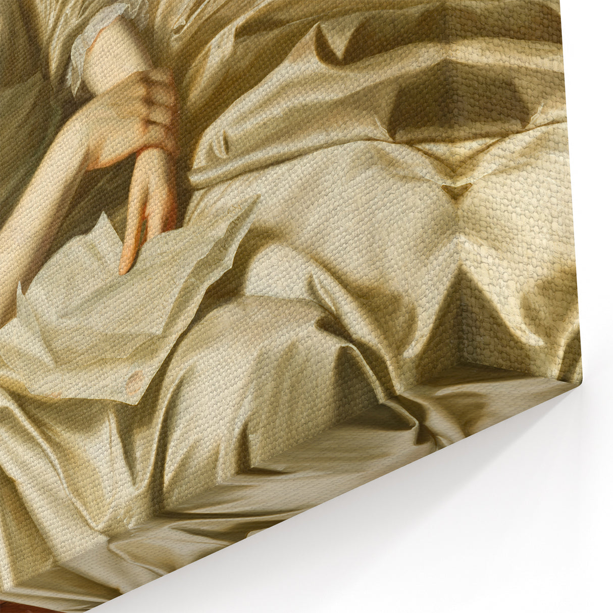 Elegant Realism Portrait | Portrait of a Lady by John Singleton Copley