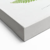 Botanical Realism Print | Aspidium Angulare Fern by Edward Joseph Lowe