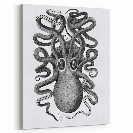Vintage Scientific Octopus Print | Eight-Armed Cuttlefish by George Shaw