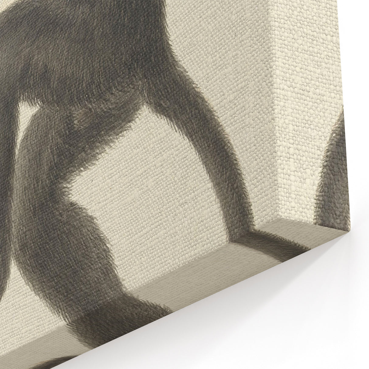 Vintage Realism Monkey Print | Zwarte Brulaap by Pieter Pietersz Barbiers