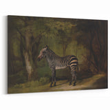 Realism Wildlife Art Print | Zebra in Forest by George Stubbs | Fine Decor