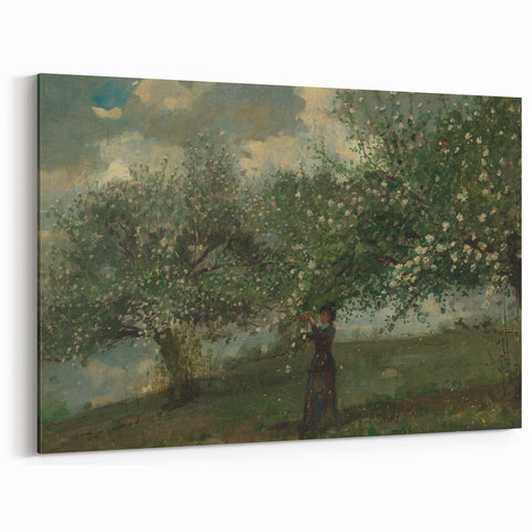 Girl Picking Apple Blossoms Realism Art Print - Classical Realism Canvas
