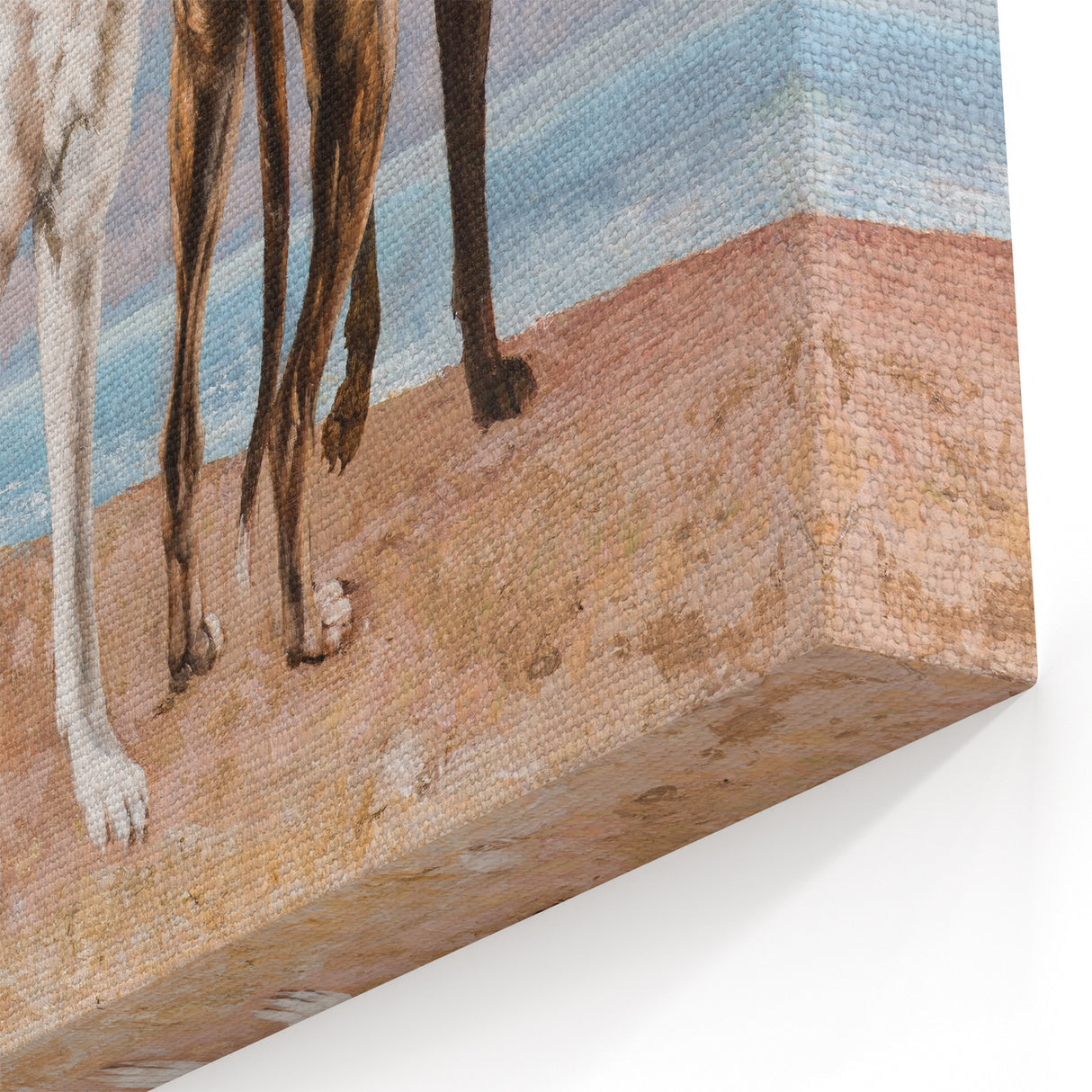 Greyhounds of the Comte de Choiseul Realism Art - Courbet Canvas Print