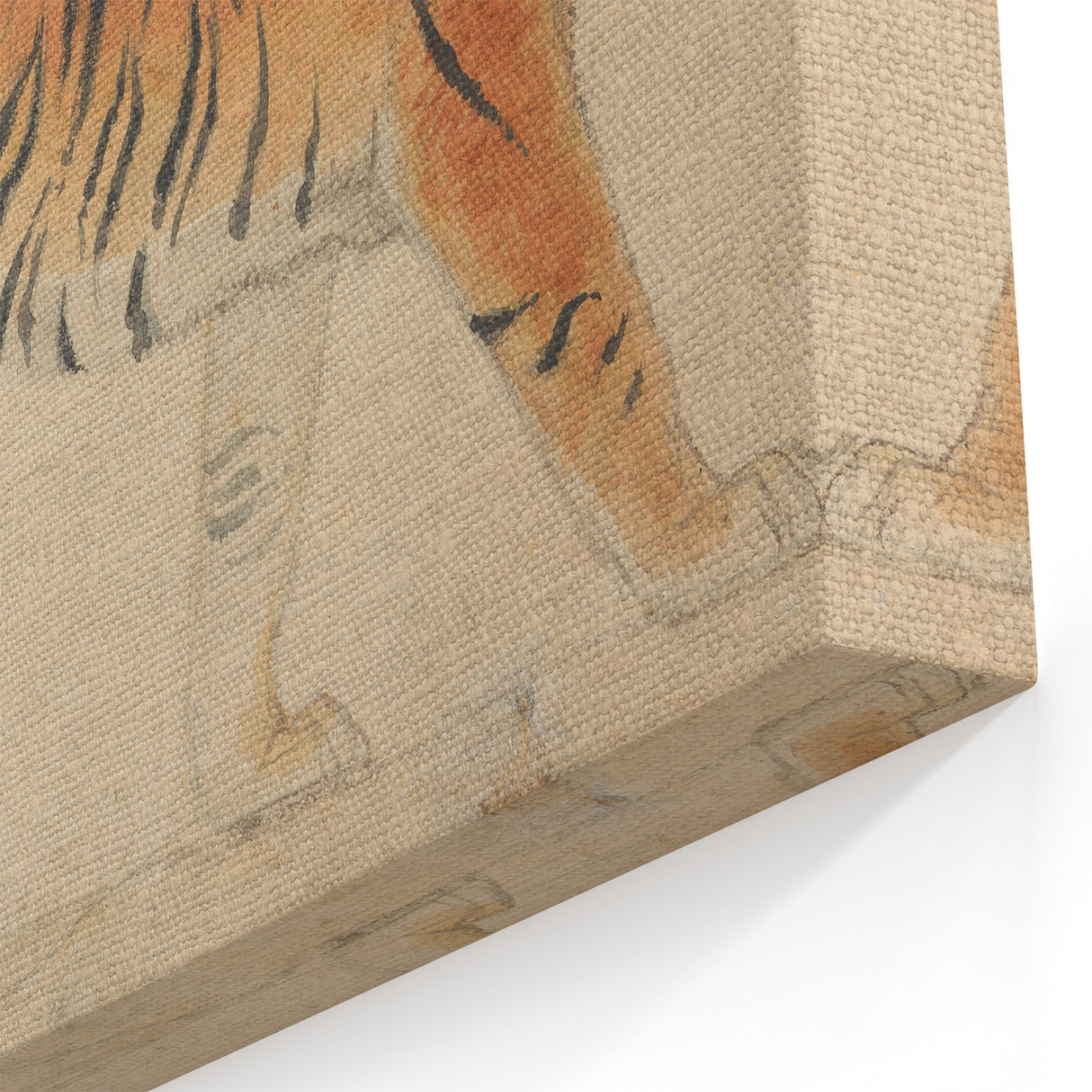 Realistic Tiger Art Print - Thomas Stothard Classical Realism Animal Canvas