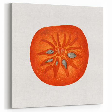 Vintage Persimmon Illustration Print - Botanical Realism Canvas Art Decor