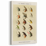 Trout Flies Illustration Print - Mary Orvis Marbury Realism Fly Fishing Art