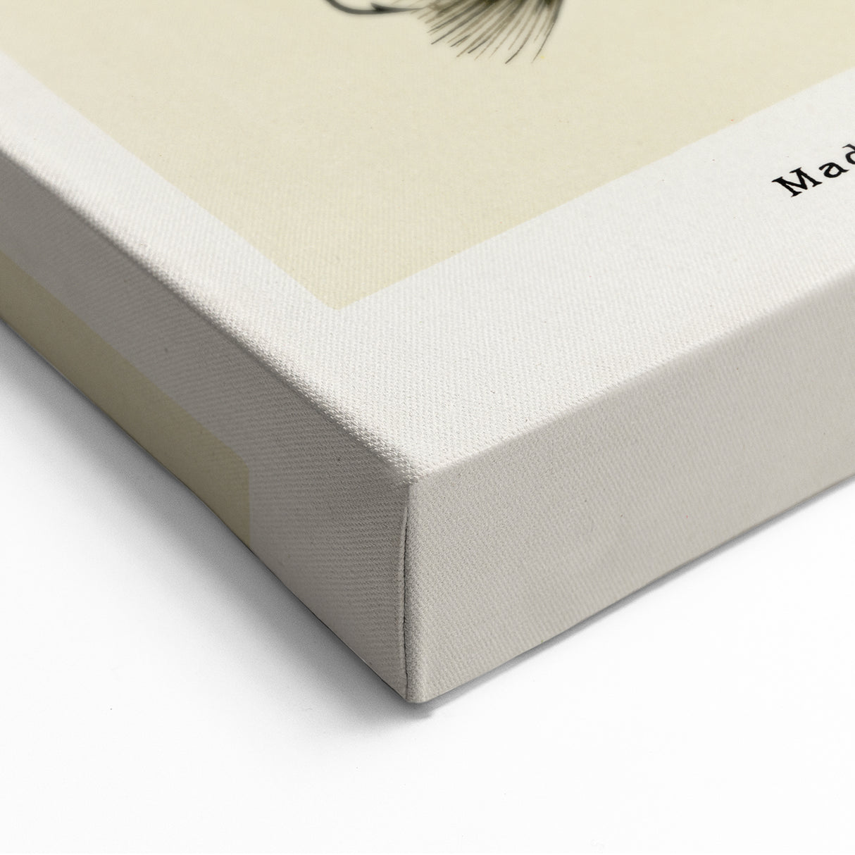 Trout Flies Illustration Print - Mary Orvis Marbury Realism Fly Fishing Art