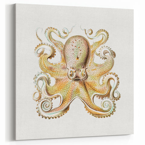 Vintage Octopus Illustration - Modern Wall Art with Marine Life Charm