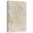 Organic Textured Beige and Cream Abstract Art – Canvas Print