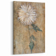 Elegant Chrysanthemum Modern Wall Art - Minimalist Contemporary Art Print