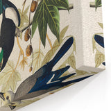 Realism Art Prints - Birds of America by John James Audubon Vintage Art
