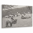 Realism Art Prints - Spring Lamb by Winslow Homer Pastoral Landscape Art