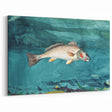 Realism Art Prints - Channel Bass by Winslow Homer Underwater Fish Art