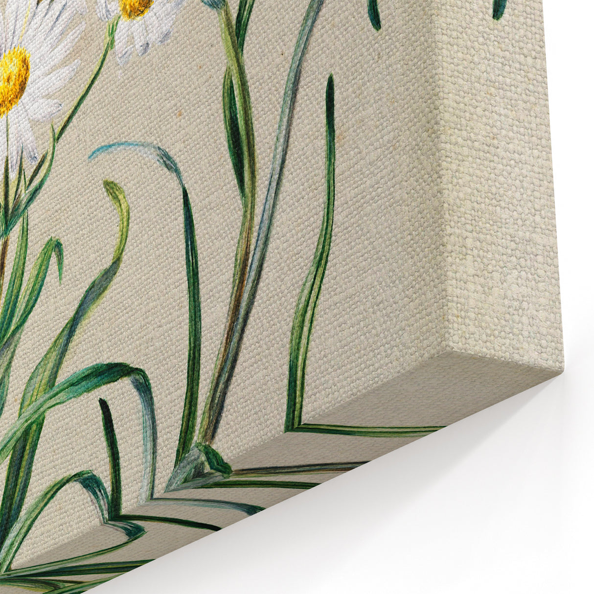 Realism Art Prints - Classical Realism Floral Art on Canvas and Acrylic