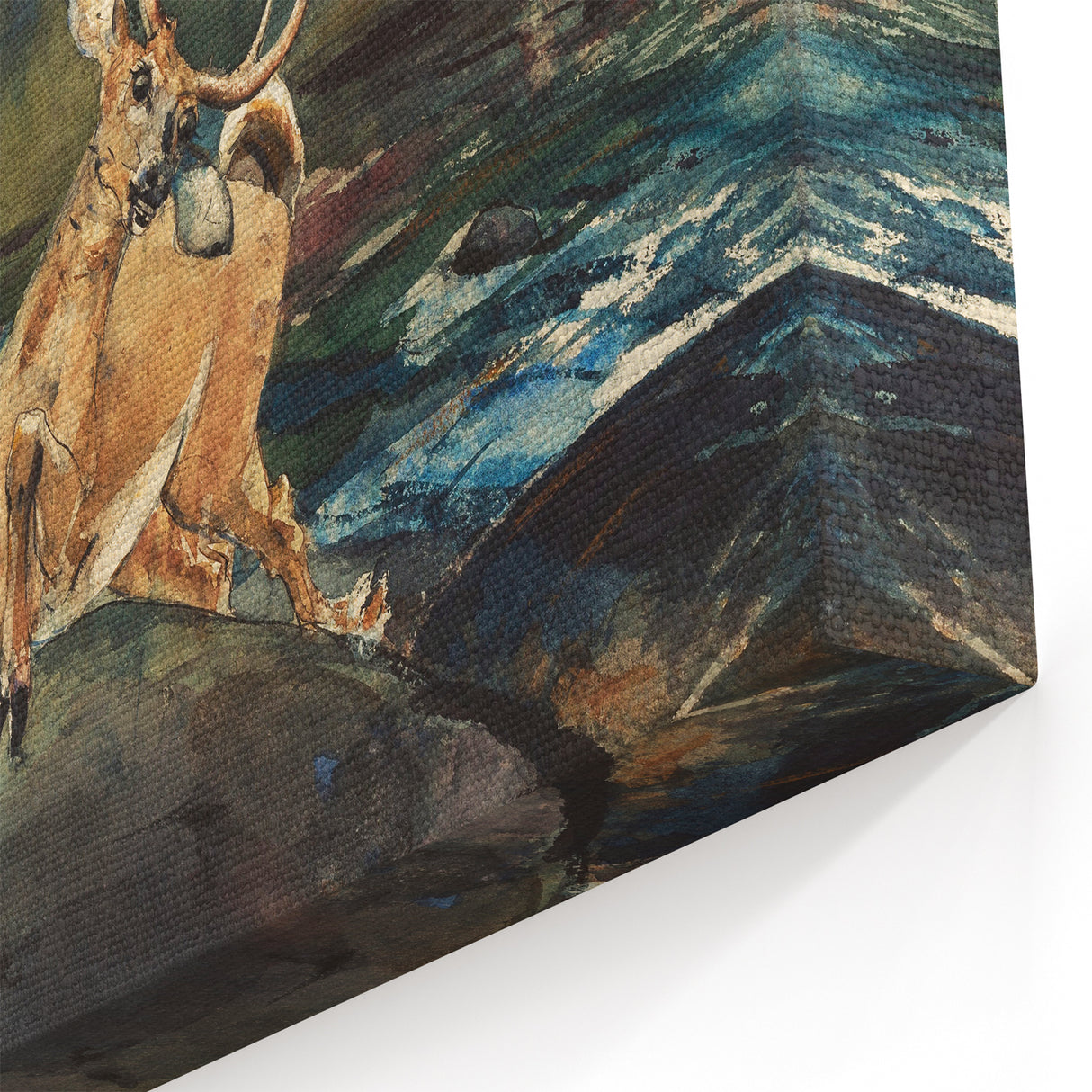 Realism Art Prints - Dramatic Deer Scene in Nature on Canvas and Acrylic