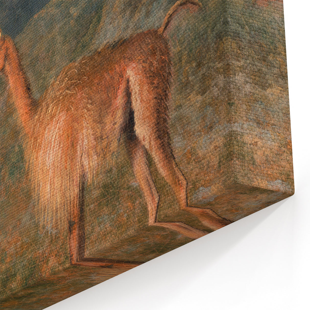 Realism Art Prints - Peaceful Vicuñas in Mountain Landscape on Canvas