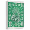 Modern Wall Art - Botanical Thuroidea Print for Unique Nature-Inspired Decor
