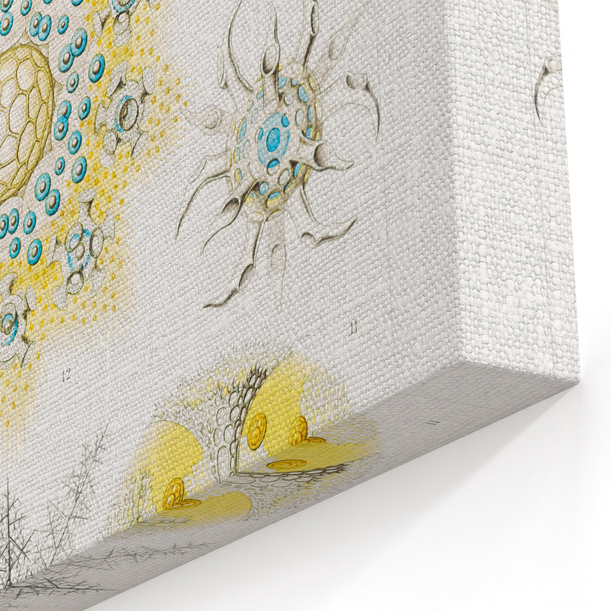 Modern Wall Art - Intricate Polycyttaria Print for Nature-Inspired Decor
