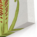 Fine Art Realism - Asplenium Vulgare Botanical Wall Art Print