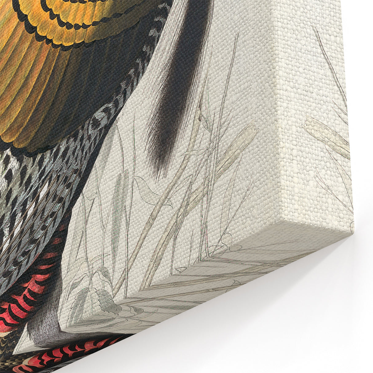 Detailed Wild Turkey Realism Art Print - Classical Realism Canvas Decor